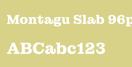 Montagu Slab 96pt