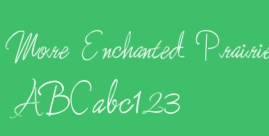 More Enchanted Prairie Dog