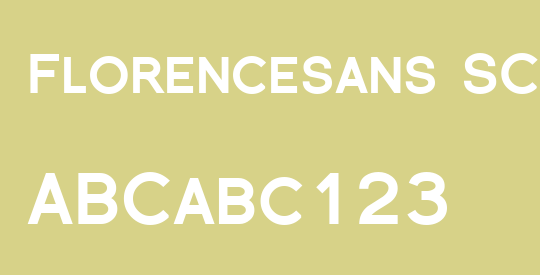 Florencesans SC Black