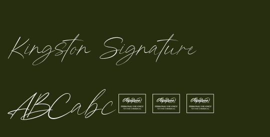 Kingston Signature