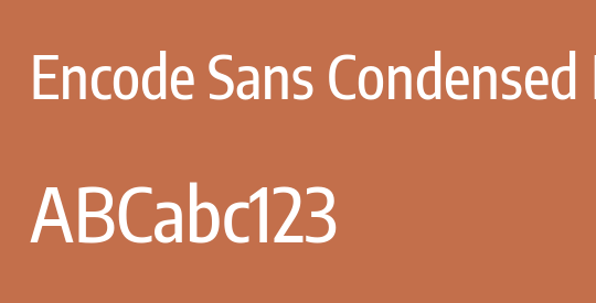 Encode Sans Condensed Medium