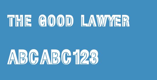 The Good Lawyer