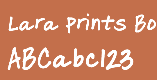 Lara Prints Bold