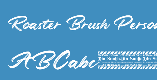 Roaster Brush Personal Use