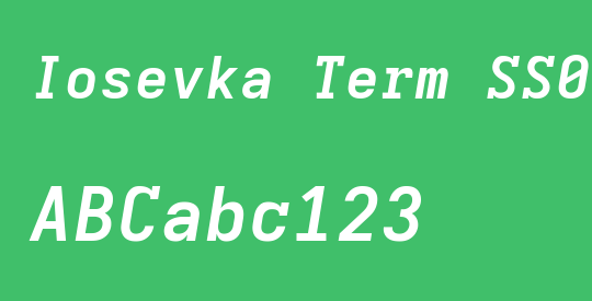 Iosevka Term SS02 ExObl