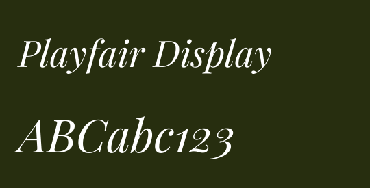 Playfair Display