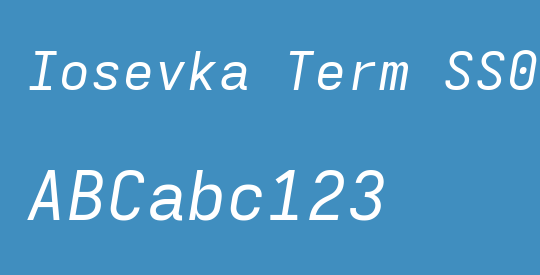 Iosevka Term SS06 ExObl