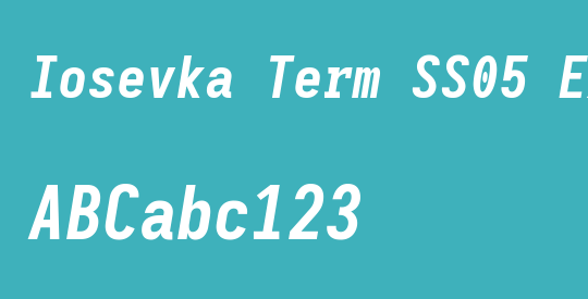 Iosevka Term SS05 Extrabold