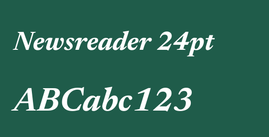 Newsreader 24pt