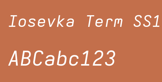 Iosevka Term SS12 ExObl