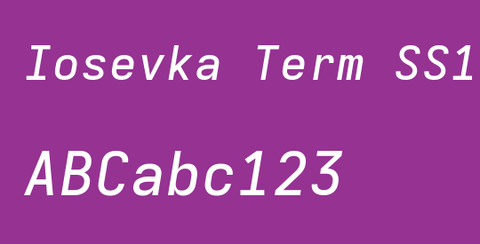Iosevka Term SS11 MdExObl