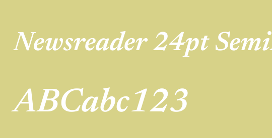 Newsreader 24pt SemiBold