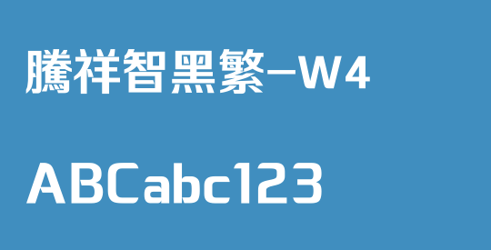 腾祥智黑繁-W4