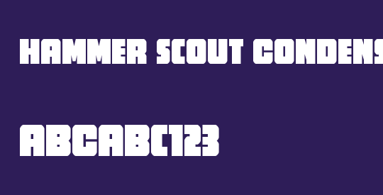 Hammer Scout Condensed