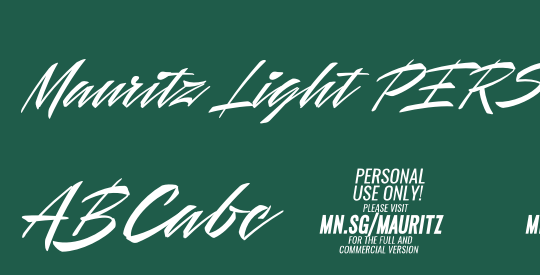 Mauritz Light PERSONAL USE Light