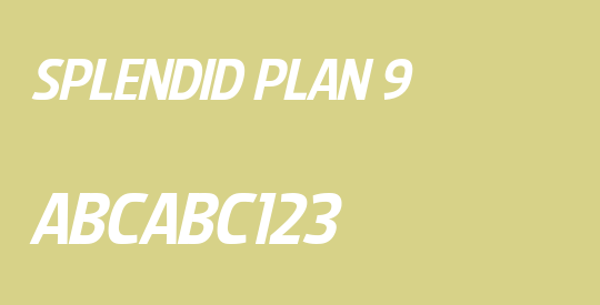 Splendid Plan 9