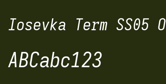 Iosevka Term SS05 Oblique