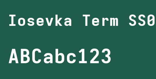 Iosevka Term SS03 XBdEx