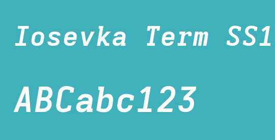 Iosevka Term SS16 ExObl