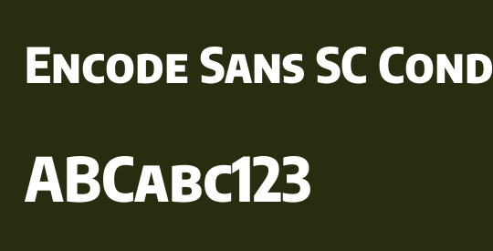 Encode Sans SC Condensed ExtraBold