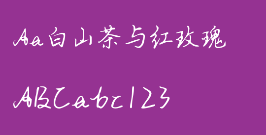 Aa白山茶与红玫瑰