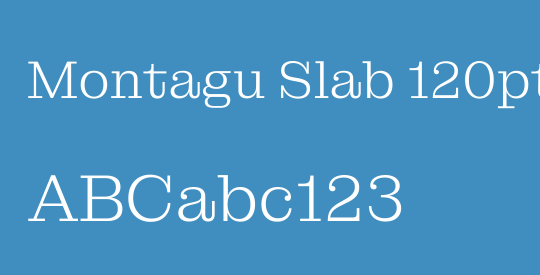 Montagu Slab 120pt Light