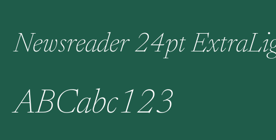Newsreader 24pt ExtraLight