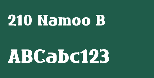 210 Namoo B