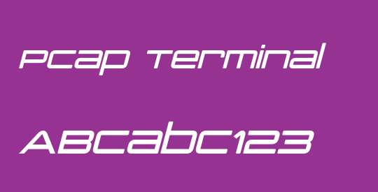 PCap Terminal