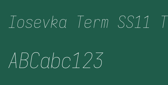 Iosevka Term SS11 Thin