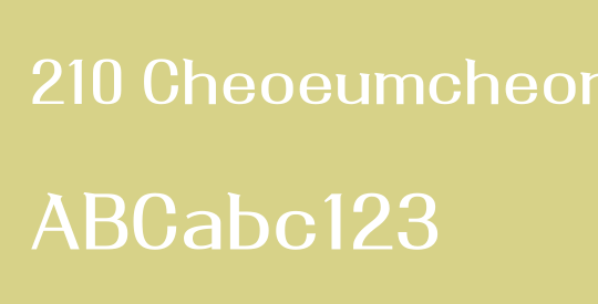 210 Cheoeumcheoreom R