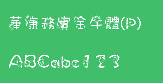 華康務實金牛體(P)