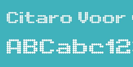 Citaro Voor (Enkele hoogte, Breed)