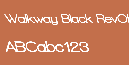 Walkway Black RevOblique