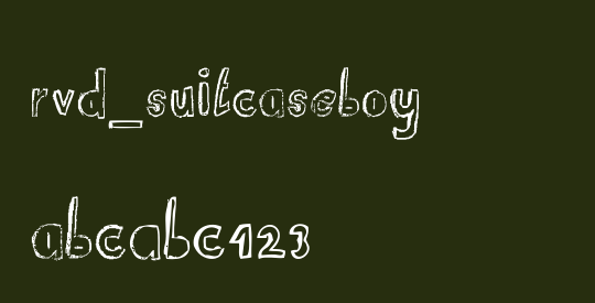 RvD_SUITCASEBOY