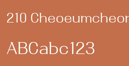 210 Cheoeumcheoreom L