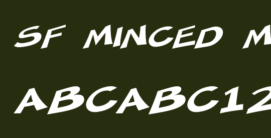 SF Minced Meat Extended