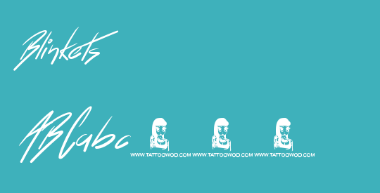 Blinkets
