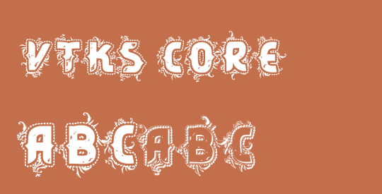 VTKS CORE