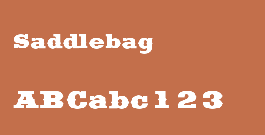 Saddlebag