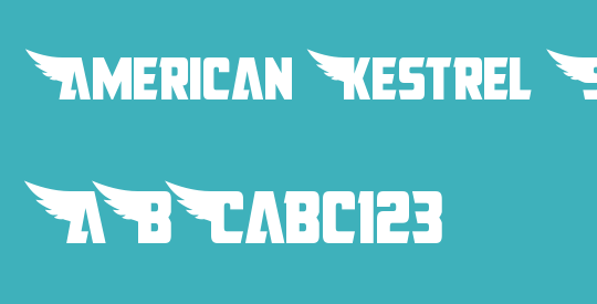 American Kestrel Straight Cond