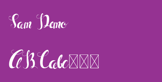 Sam Demo