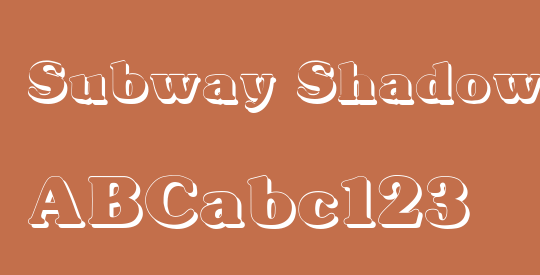 Subway Shadow