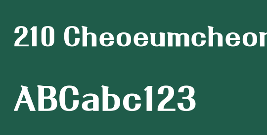 210 Cheoeumcheoreom B