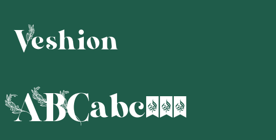 Veshion