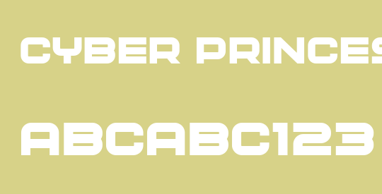 Cyber Princess