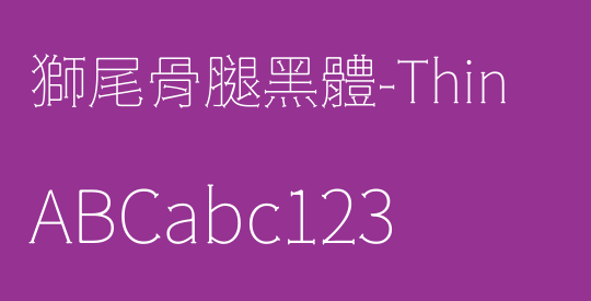 獅尾骨腿黑體-Thin