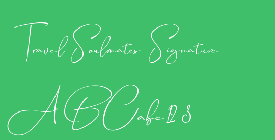 Travel Soulmates Signature