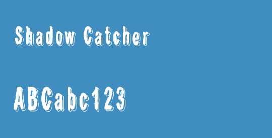 Shadow Catcher