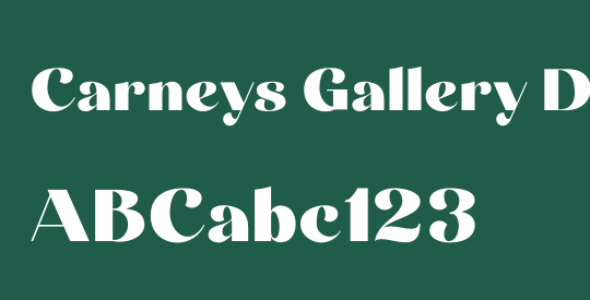 Carneys Gallery Demo Version